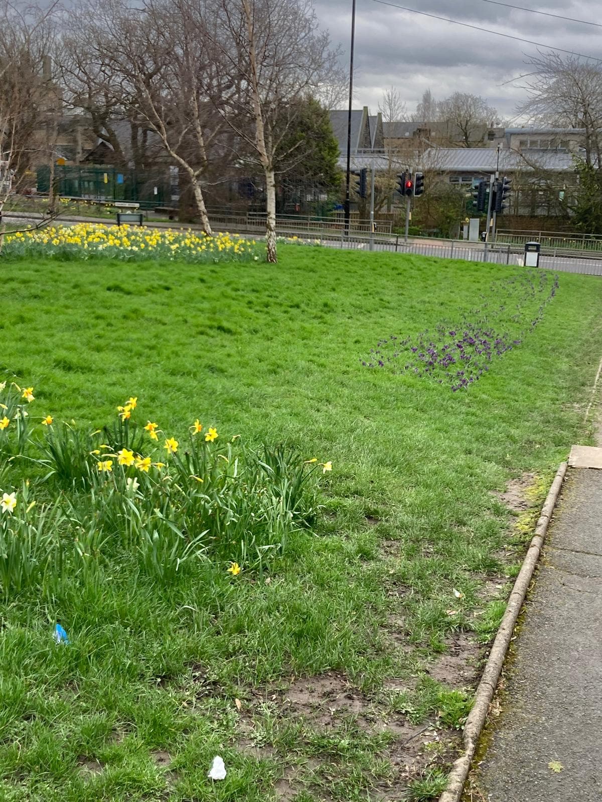 Bulb Planting - Horsforth in Bloom site