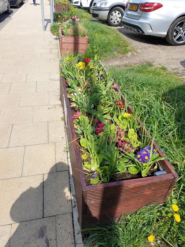 Crabtree Land - Horsforth in Bloom site