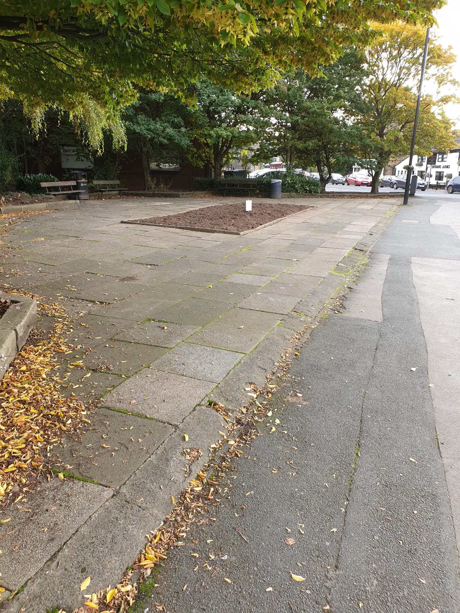 Old Ball Bed - Horsforth in Bloom site